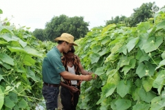 Farmer Advisory