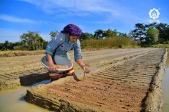 Seed Production - Nursery - Post Seed Sowing Soil Cover