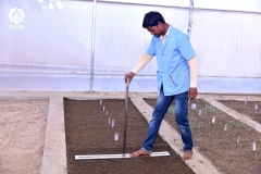 Sand Bed Germination Test - Sand Bed Marking