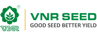 VNR Seeds Logo